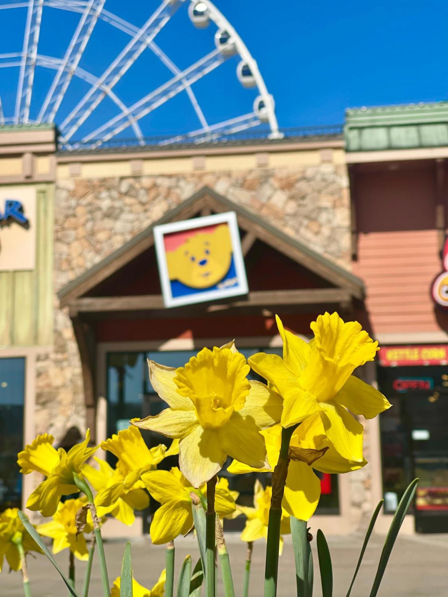 Dreams Come True Villa Pigeon Forge Exterior photo